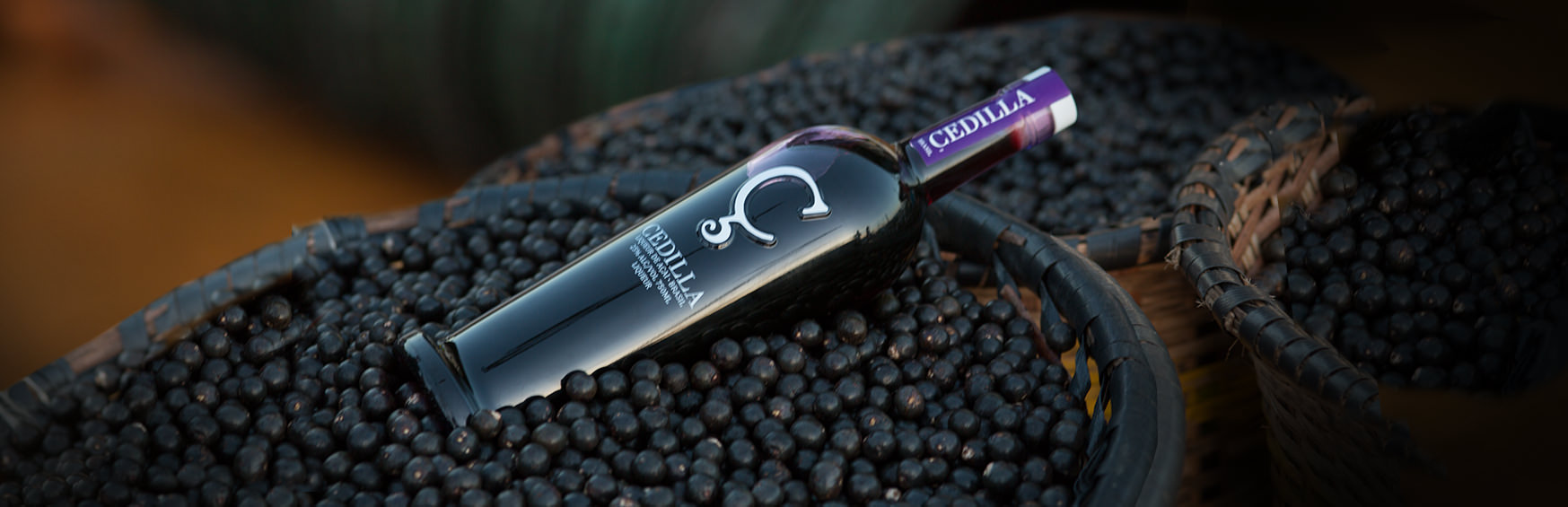 cedilla bottle web кашаса леблон что это